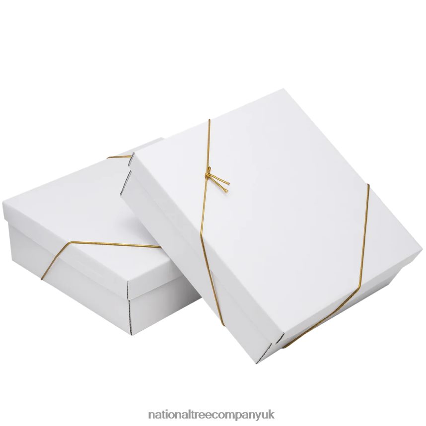 decoration | National Tree Company 20-Piece Christmas Tree Ornament Set General Store Collection F2L4F530